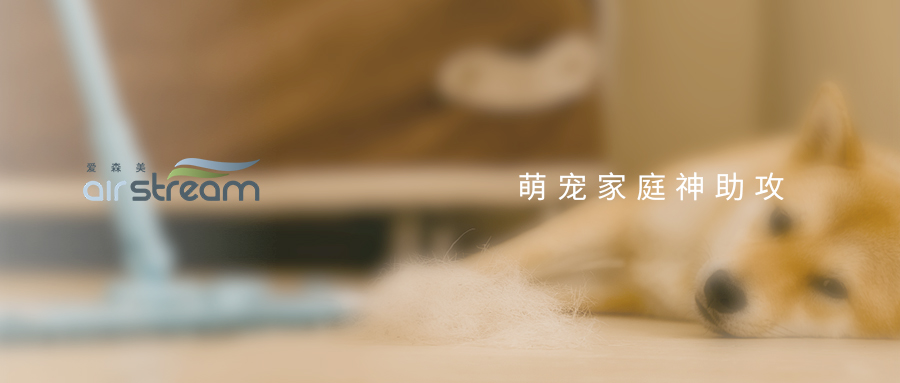 愛寵換毛季“叕”來了，你還毫無準備？